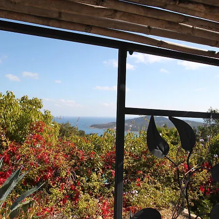 Locazione Turistica Domittas Holiday home